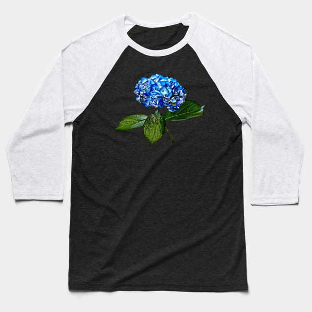 Blue Hydrangea With Leaves Baseball T-Shirt by SusanSavad